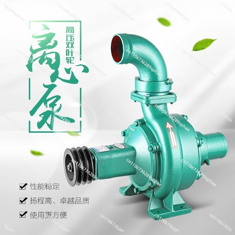 High Pressure High Head Large  - đánh giá và giá Diesel Water Pump