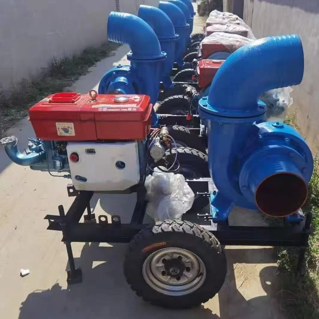 Customized Power Diesel Engine - đánh giá và giá Diesel Water Pump